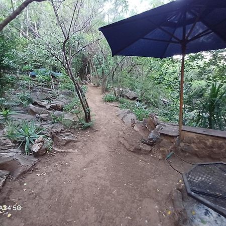 Adorable Unique Guest House - African Bush Feel Kalkheuvel 외부 사진