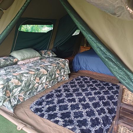 Adorable Unique Guest House - African Bush Feel Kalkheuvel 외부 사진