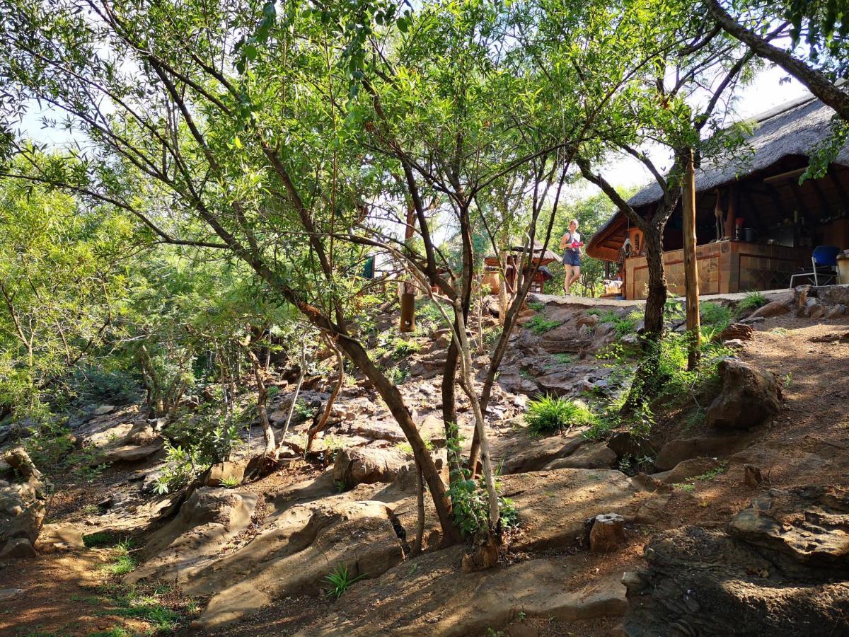 Adorable Unique Guest House - African Bush Feel Kalkheuvel 외부 사진
