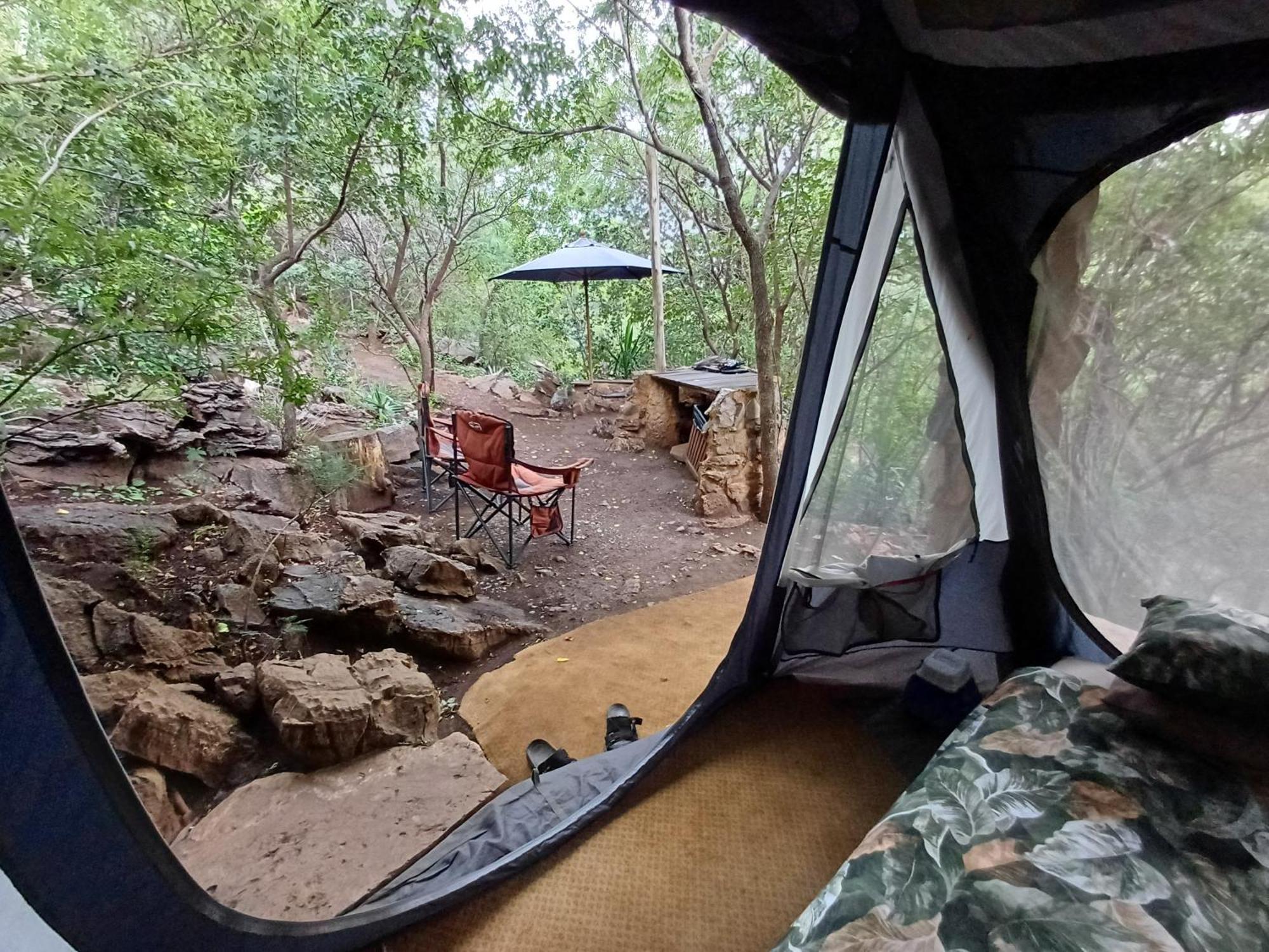 Adorable Unique Guest House - African Bush Feel Kalkheuvel 외부 사진