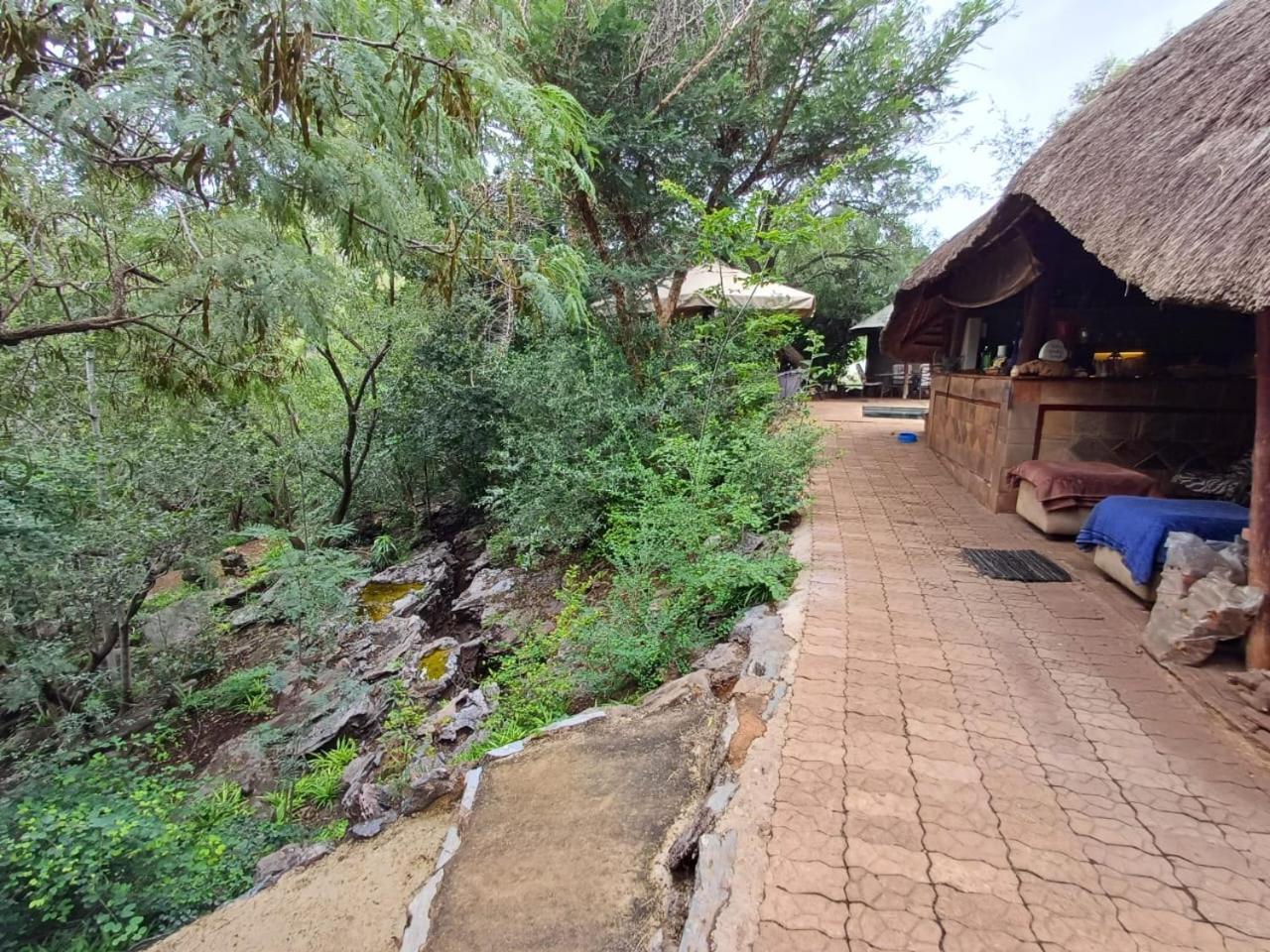Adorable Unique Guest House - African Bush Feel Kalkheuvel 외부 사진